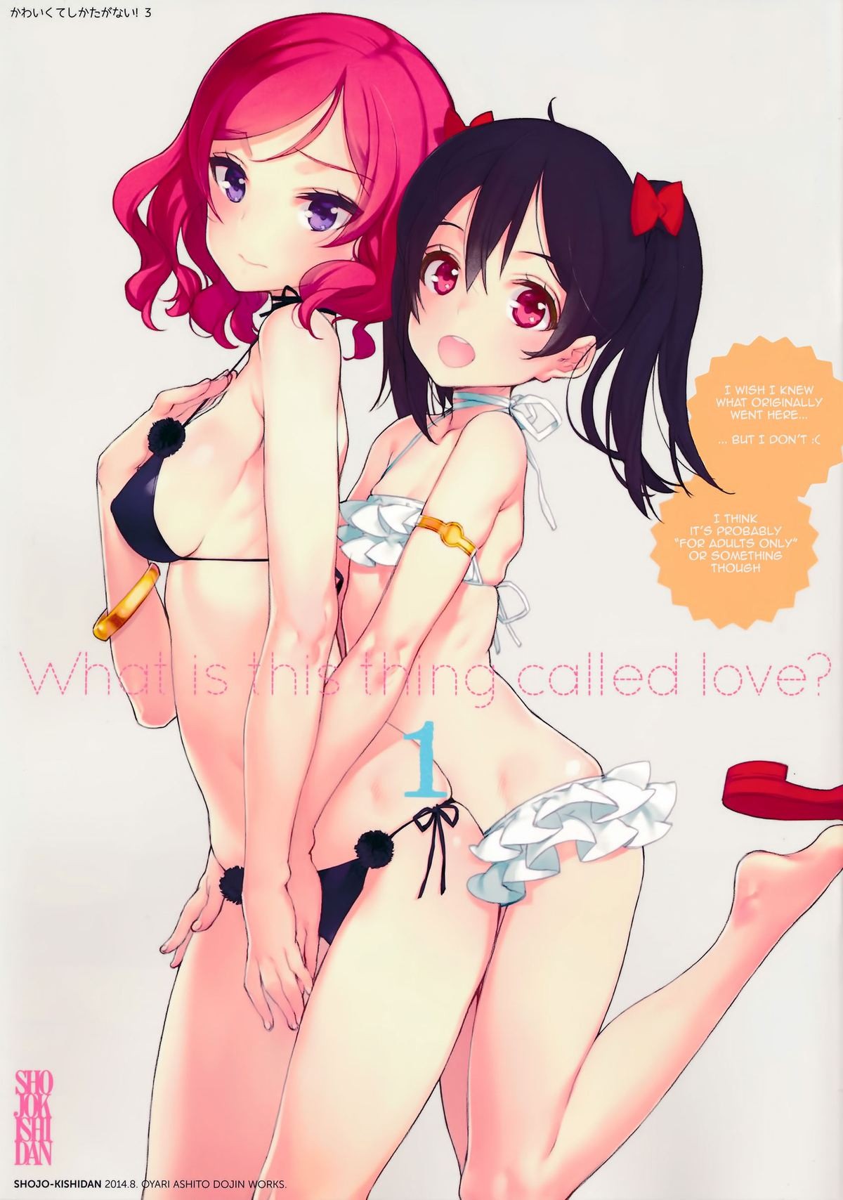 (C86) What is this thing called love? 1 (Love Live!)
