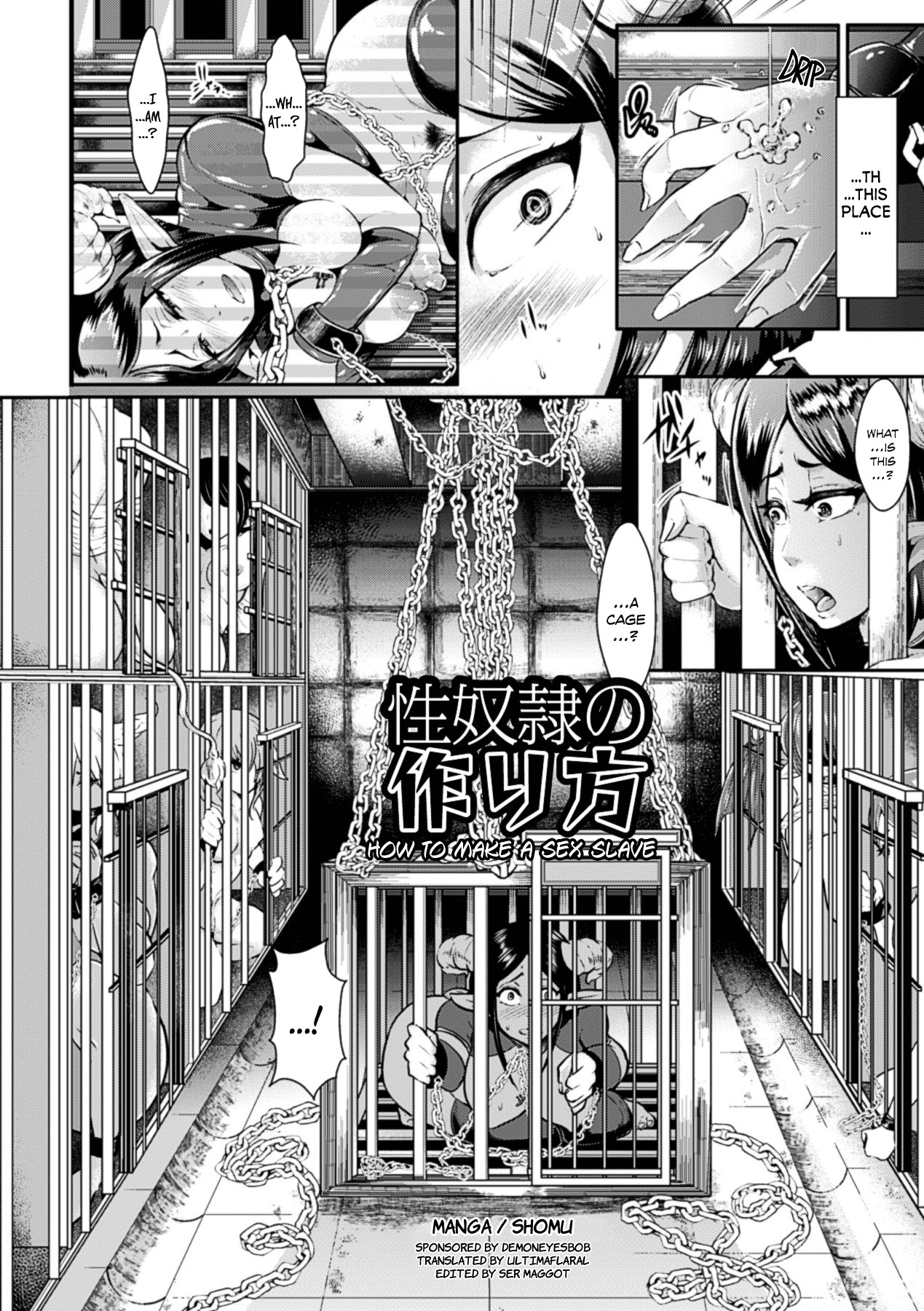 Seidorei no Tsukurikata | How to Make a Sex Slave (Kabe ni Umekomareta Shoujo de Seiyoku Shori Vol. 2)