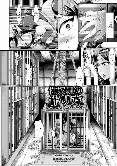 Seidorei no Tsukurikata | How to Make a Sex Slave (Kabe ni Umekomareta Shoujo de Seiyoku Shori Vol. 2)