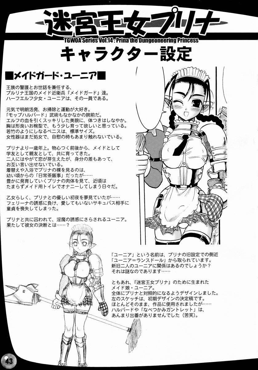 Page 43