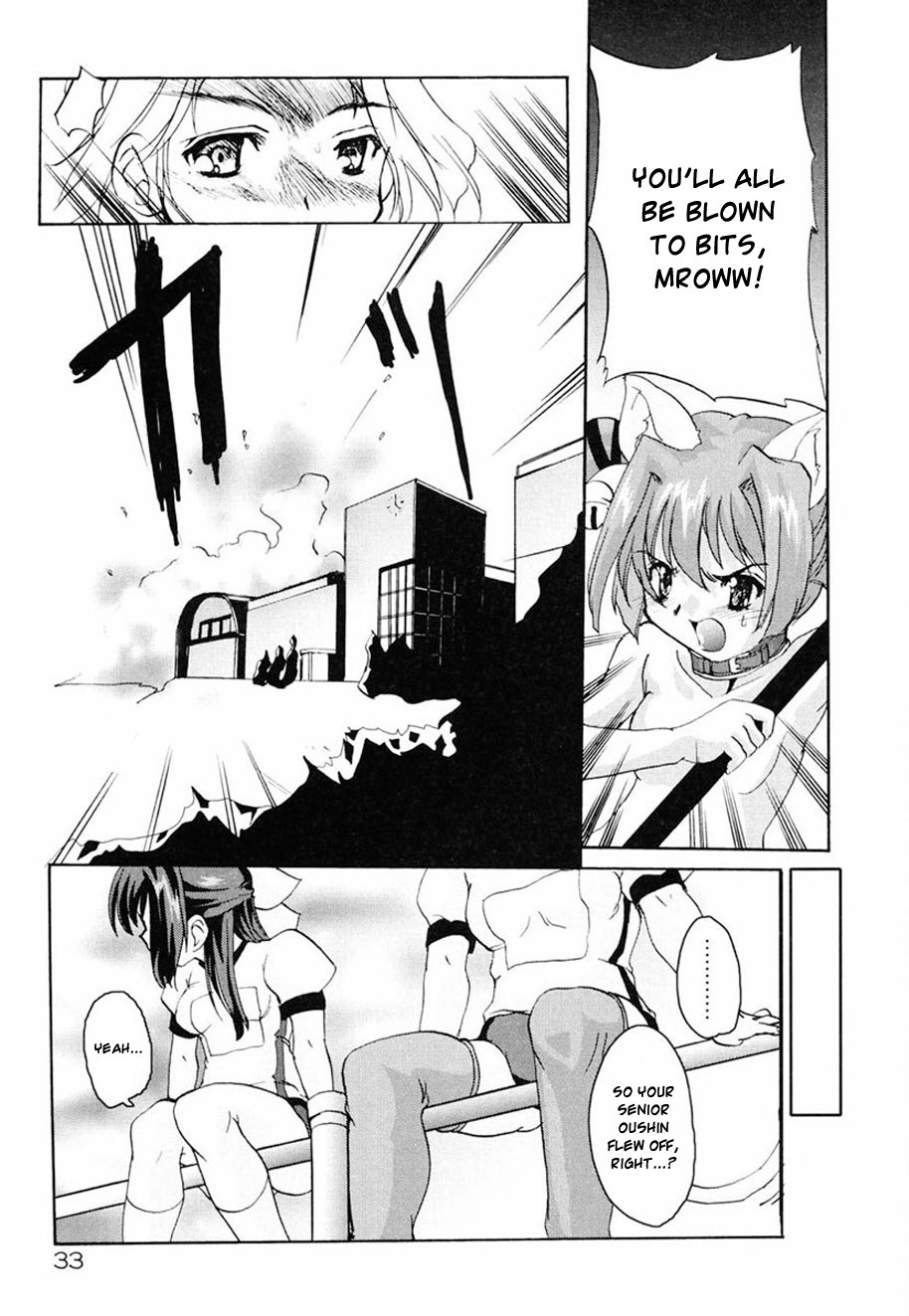 Page 33