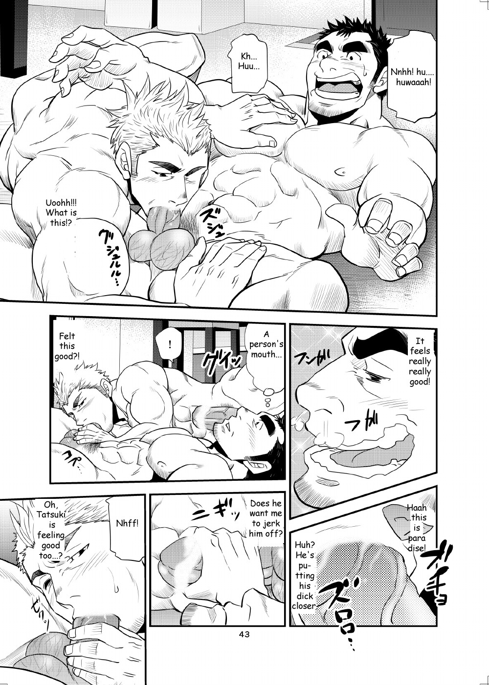 Page 42