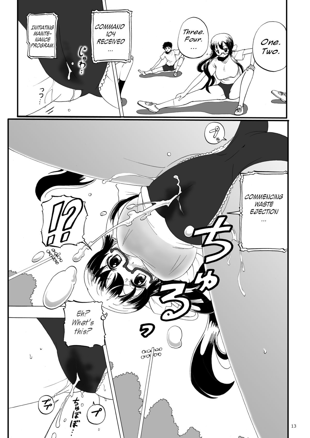 Page 13