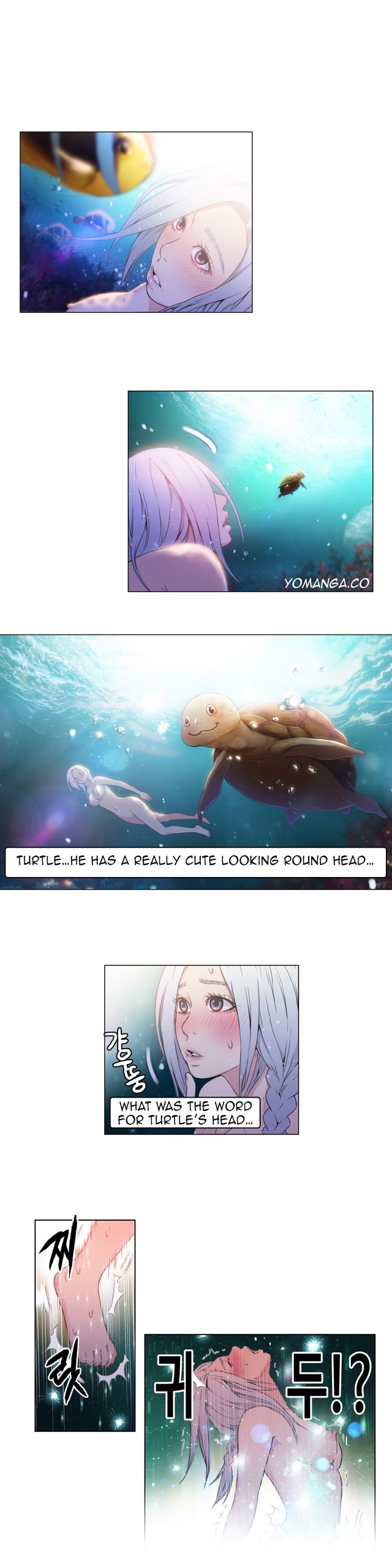 Page 501