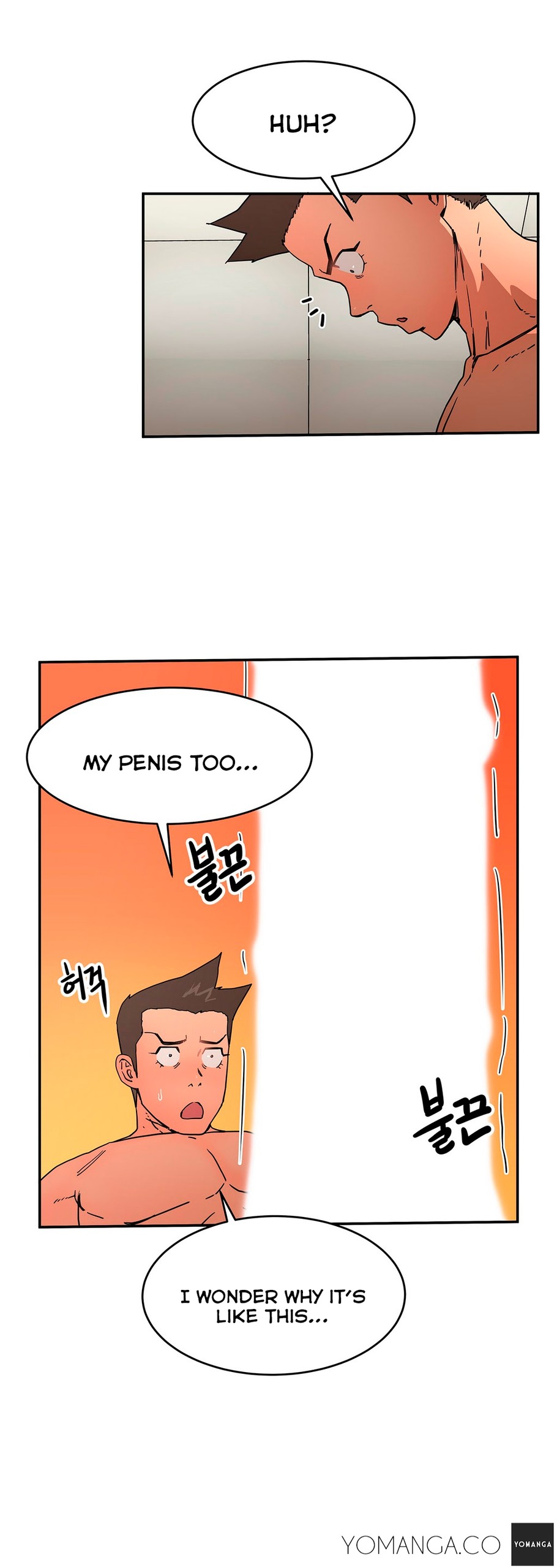 Page 504