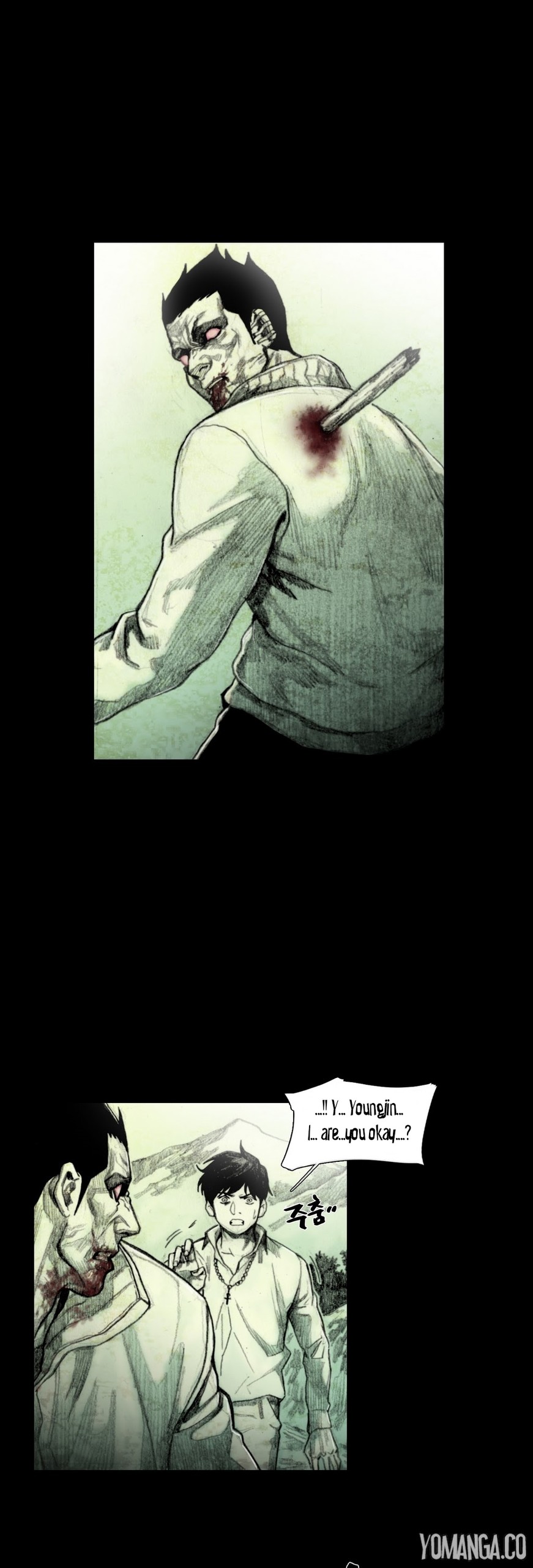 Page 528