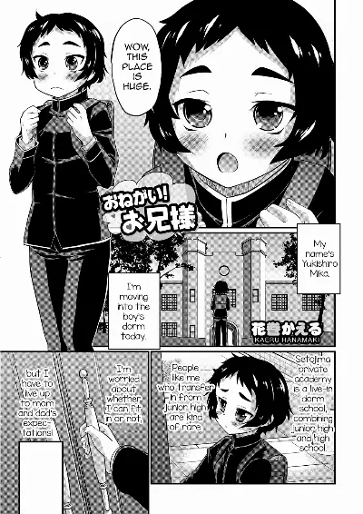 Onegai! Onii-sama (Otokonoko Heaven's Door 2)