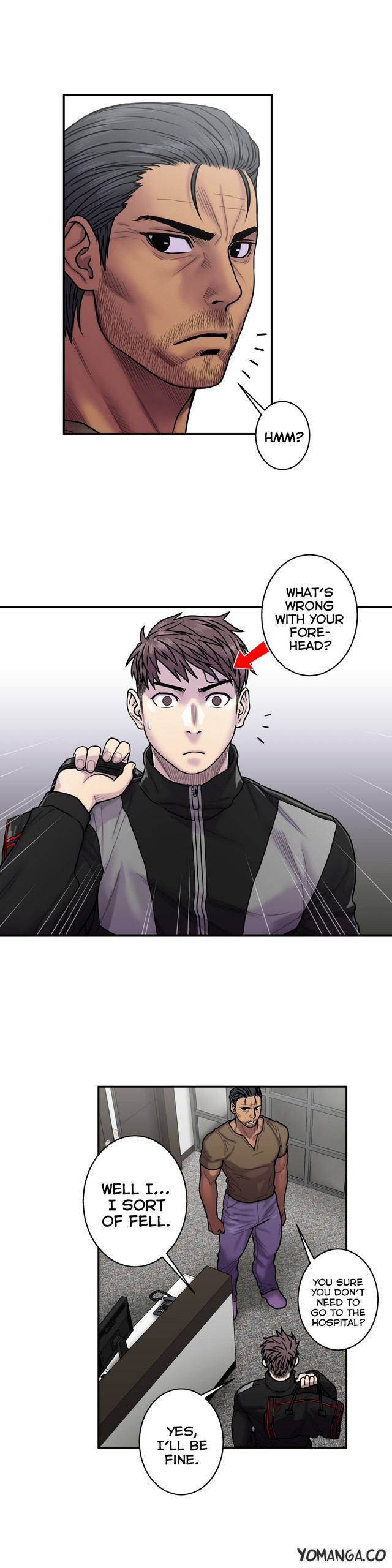 Page 511