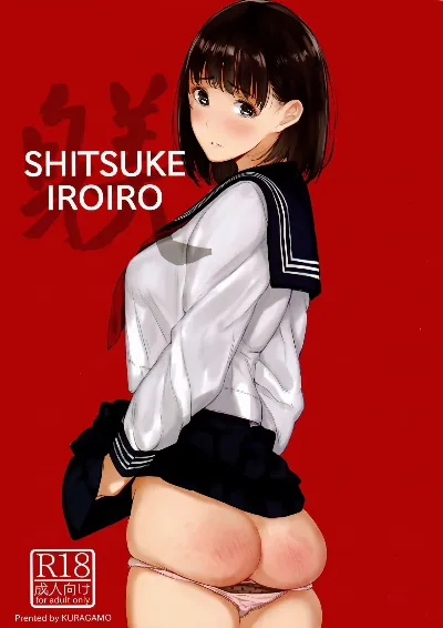 (C91) SHITSUKE IROIRO