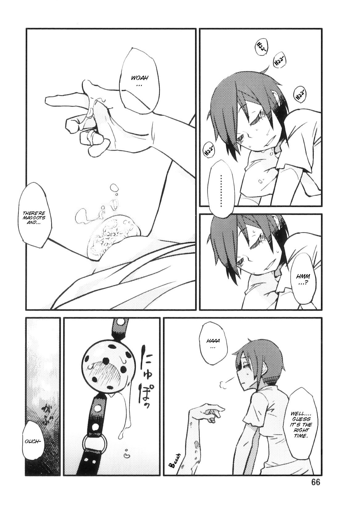 Page 66