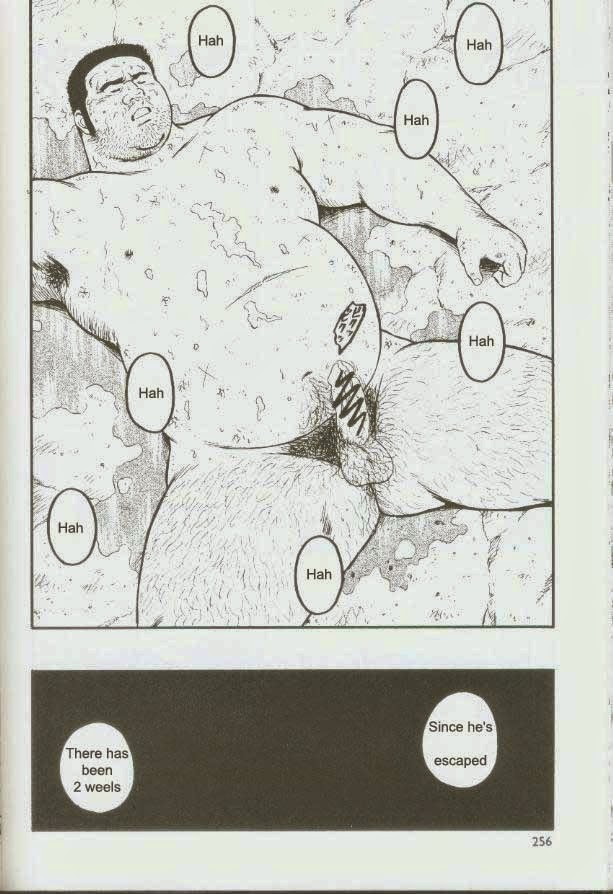 Page 258