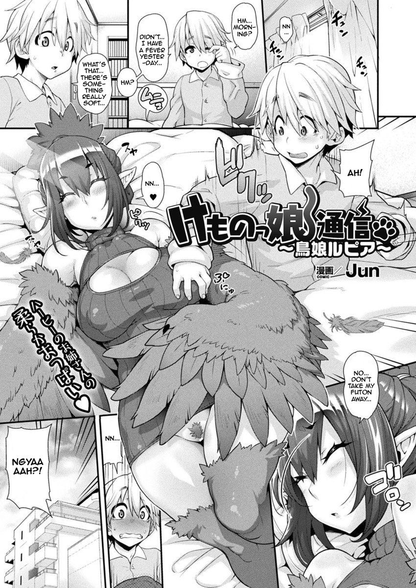 Kemonokko Tsuushin ~ Toriko Rupia | Animal Girl Hotline ~ Bird Girl Rupia (COMIC Unreal 2017-04 Vol. 66)