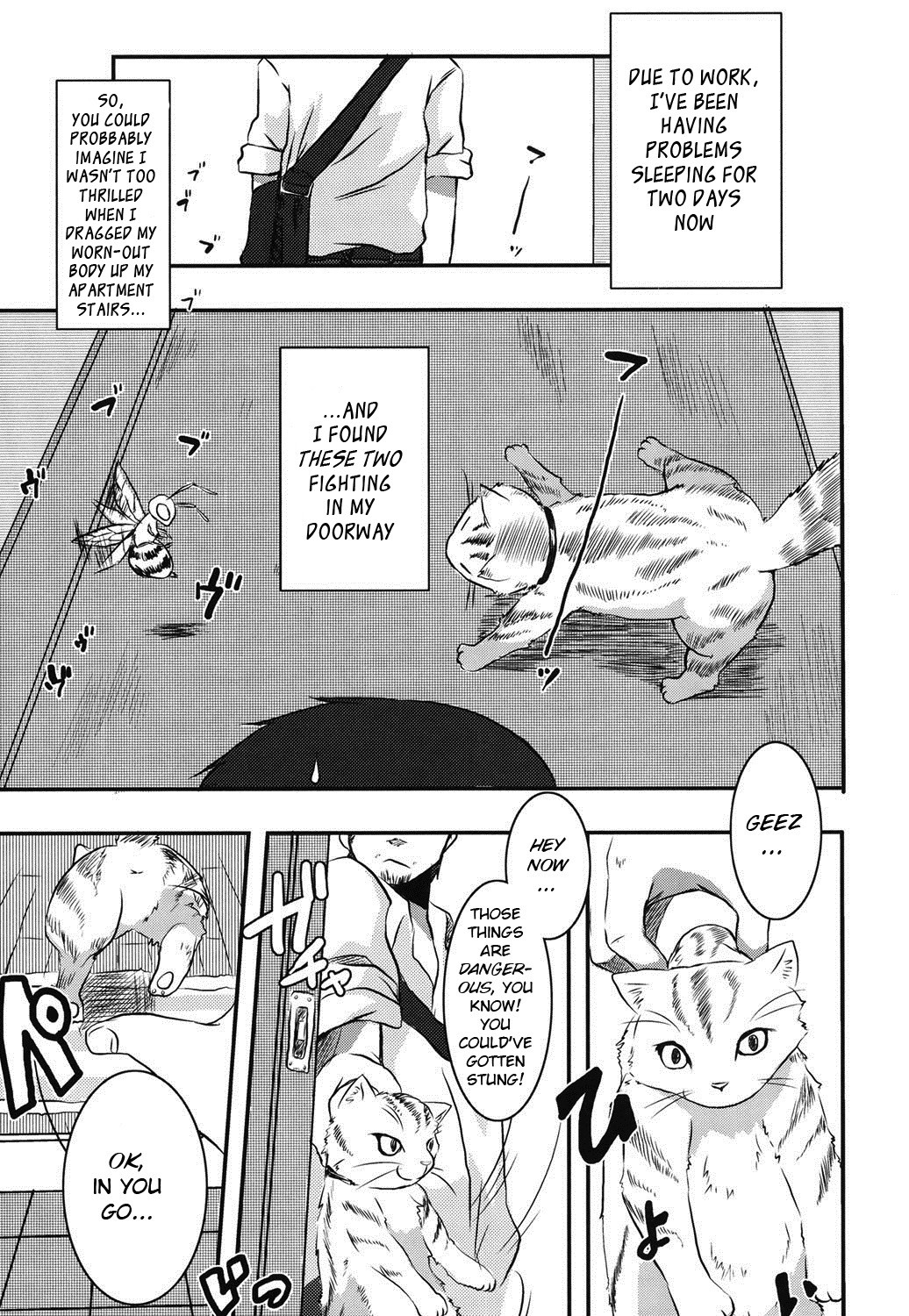 Hachihime-sama Chikuri (COMIC PLUM DX 13)