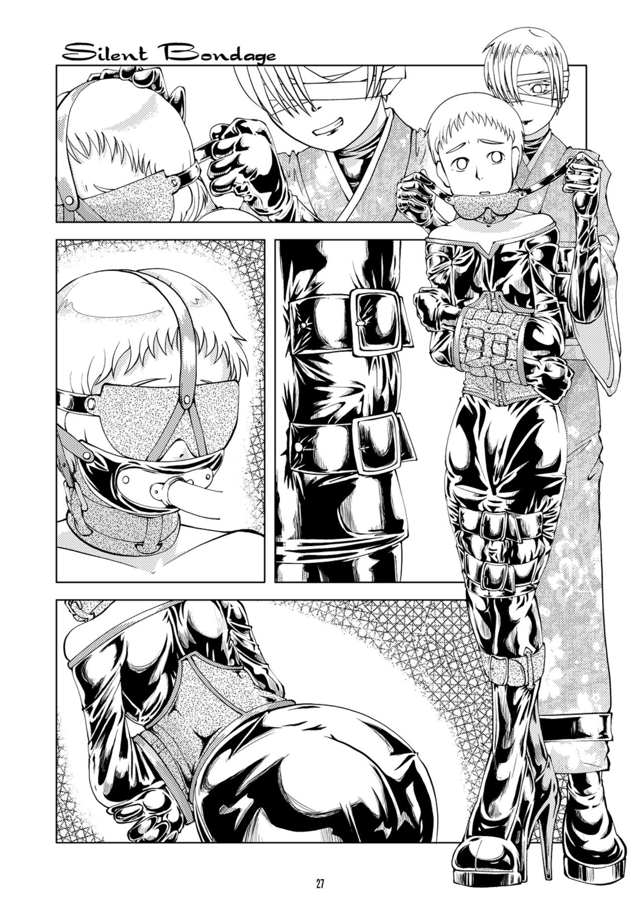 Page 27