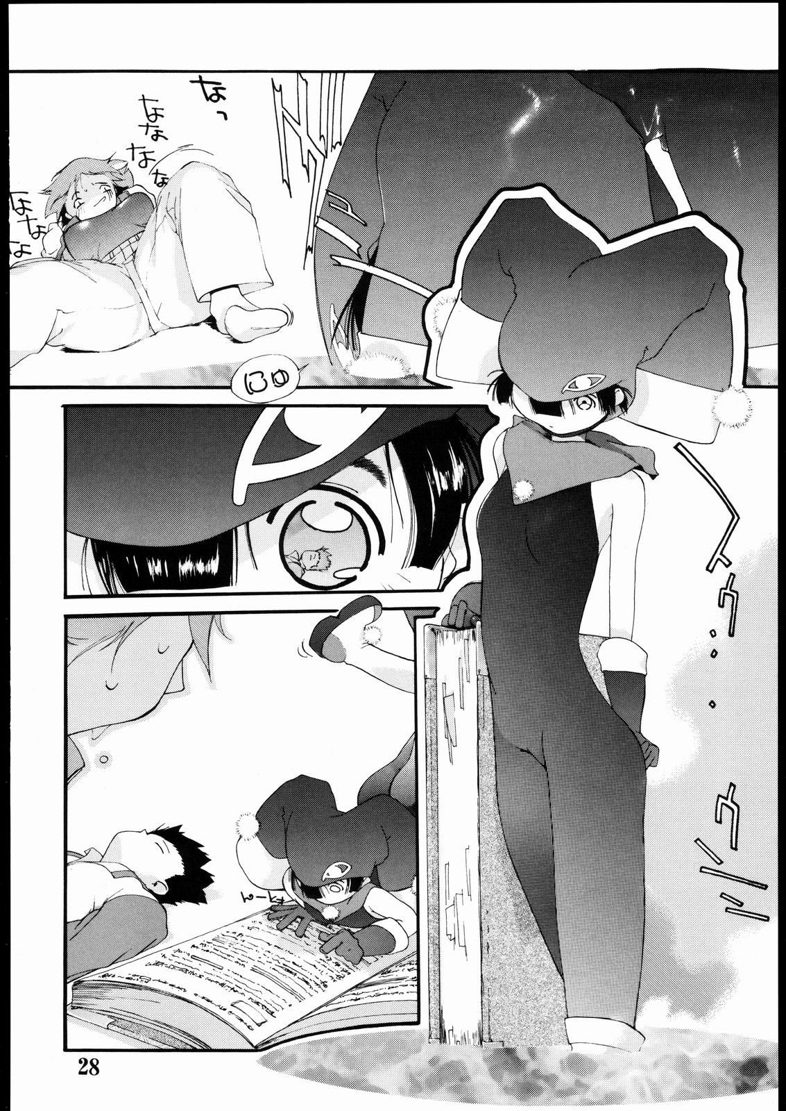 Page 27