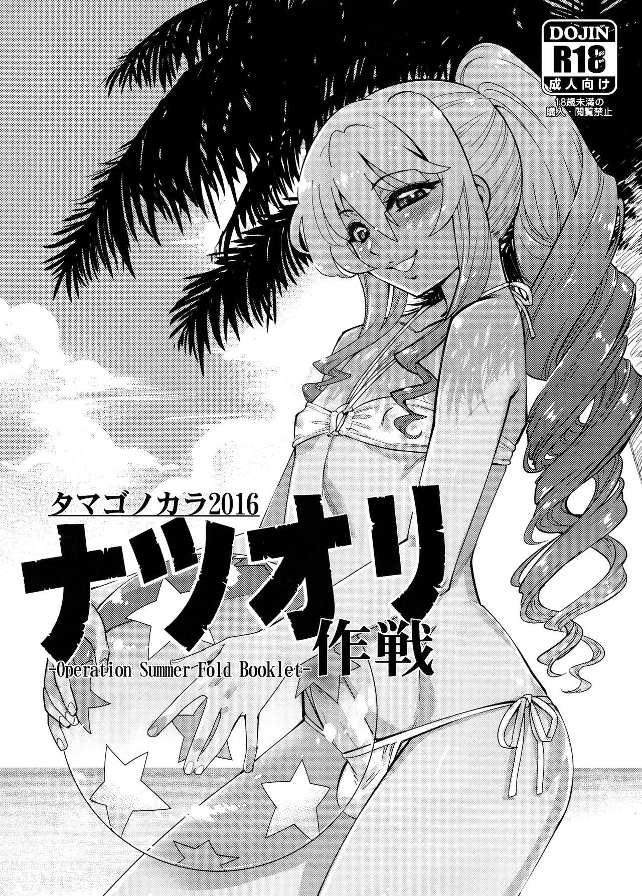 (C90) -Operation Summer Fold Booklet-