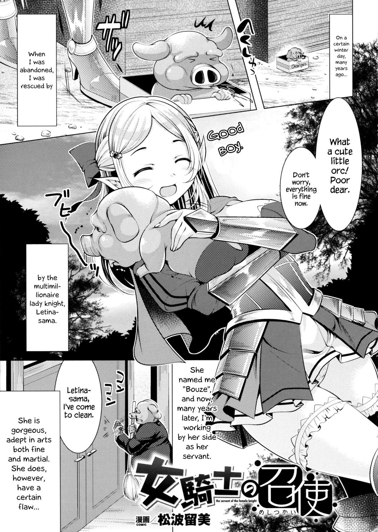 Onna Kishi no Meshitsukai + Bangaihen | The Servant of the Lady Knight + Extra {Hennojin}