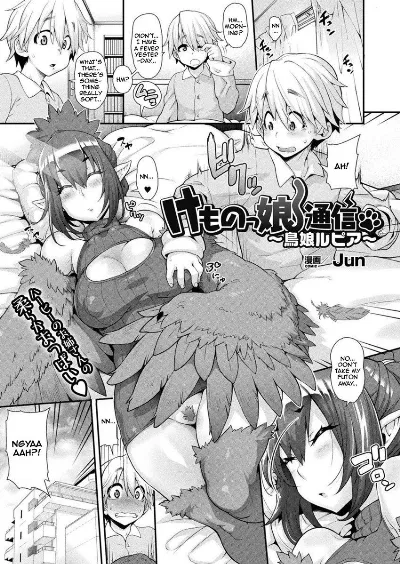 Kemonokko Tsuushin ~Toriko Rupia~ | Animal Girl Hotline ~ Bird Girl Rupia (COMIC Unreal 2017-04 Vol. 66)