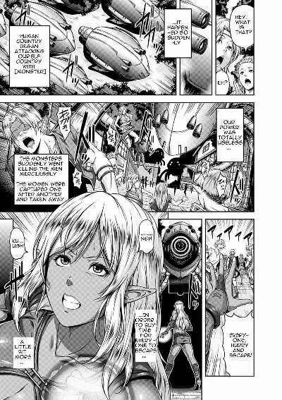 Seishoku Kaihatsu Torawareta Elf no Choukyou Jikken | Sexual Development - Torture Training of Captured Elf (Mesu Hana ga Ochiru Toki)