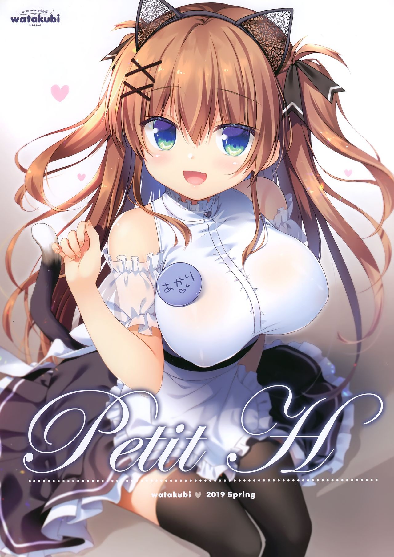 (SC2019 Spring) Petit H!