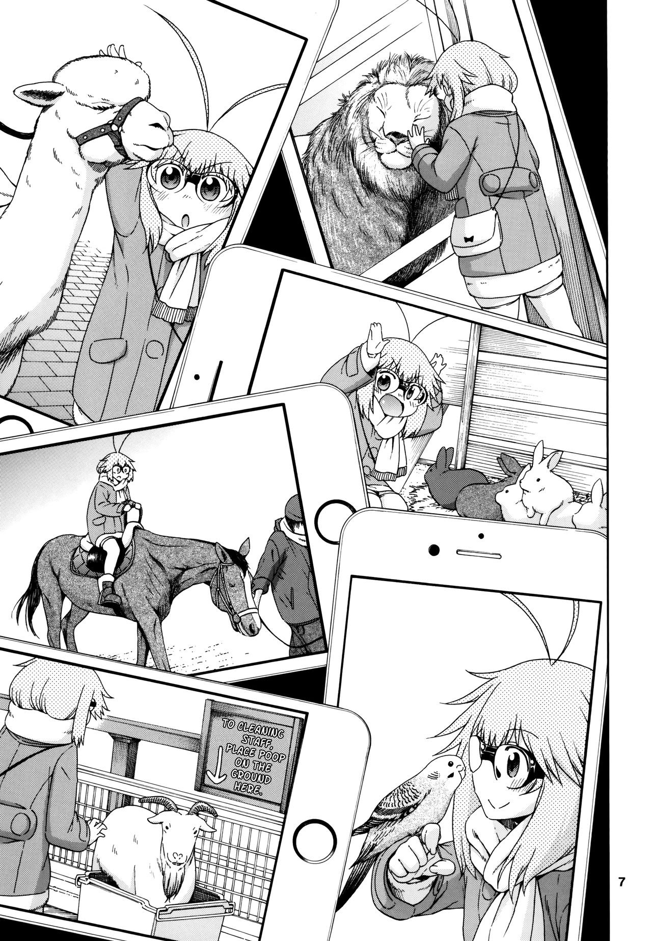 Page 7