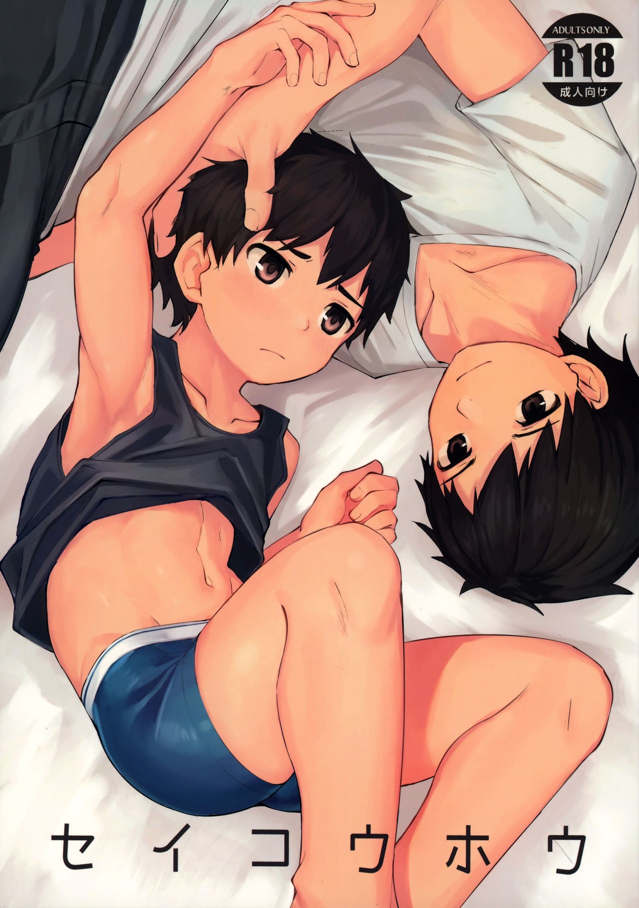 (C97) Seikouhou
