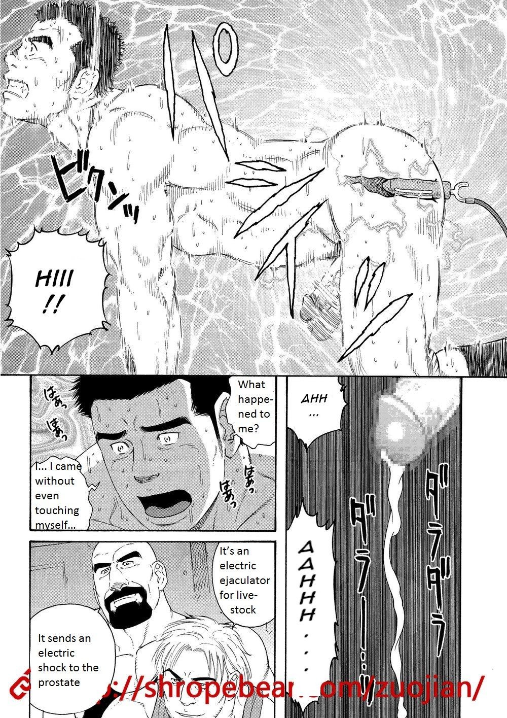 Page 41