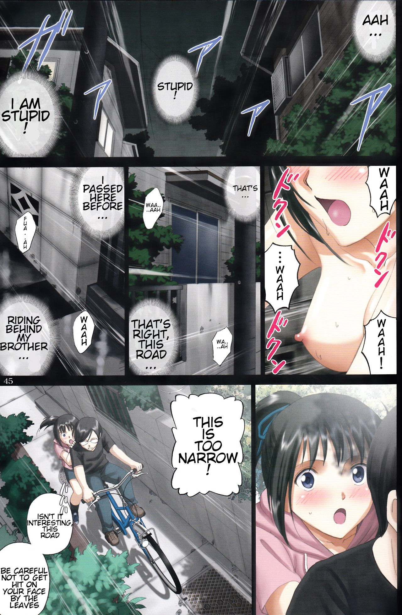 Page 44