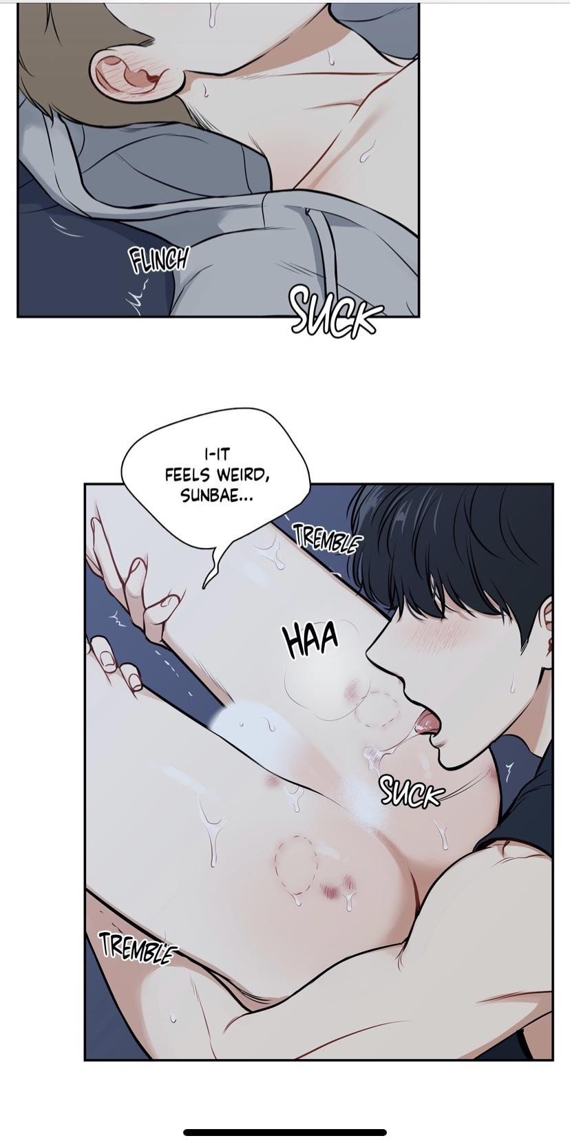 Page 312