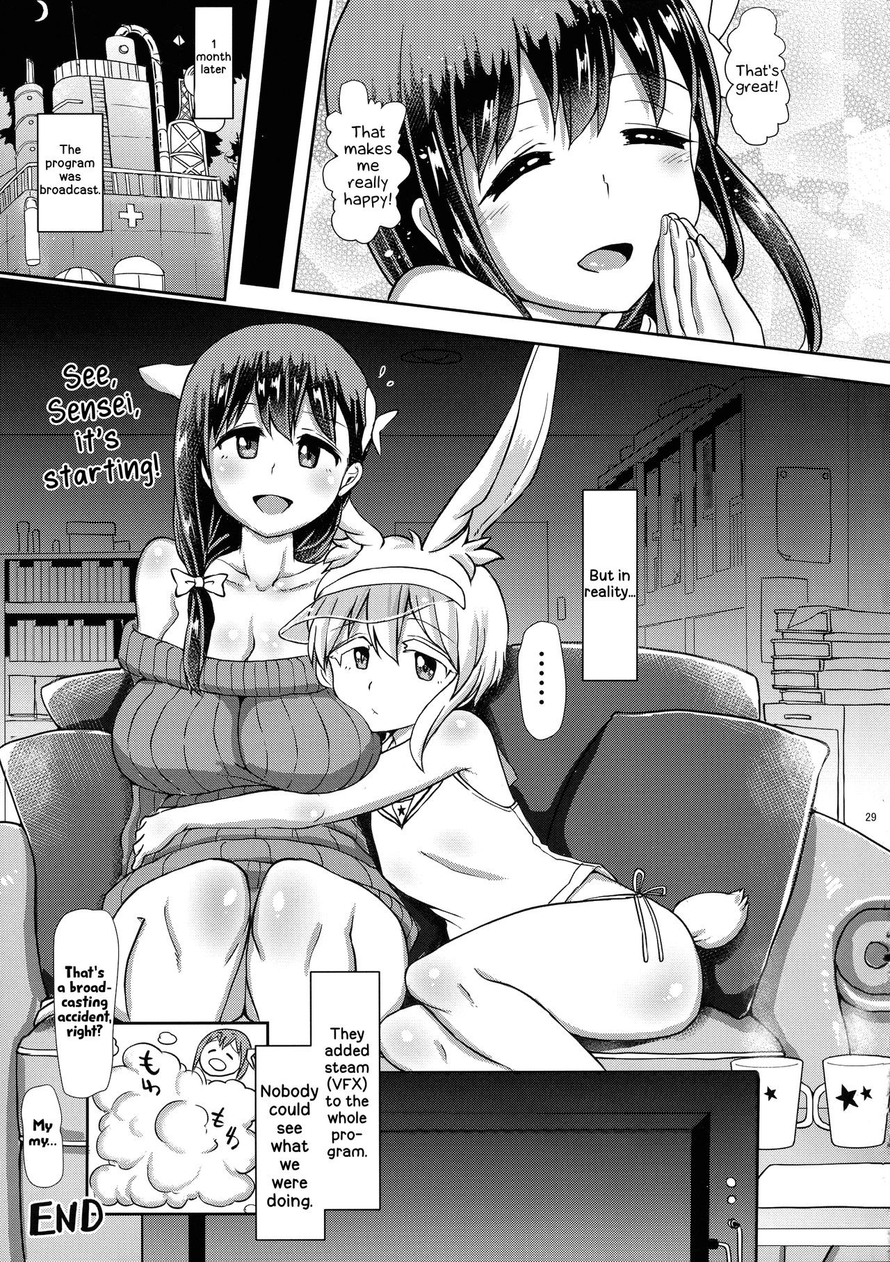 Page 29