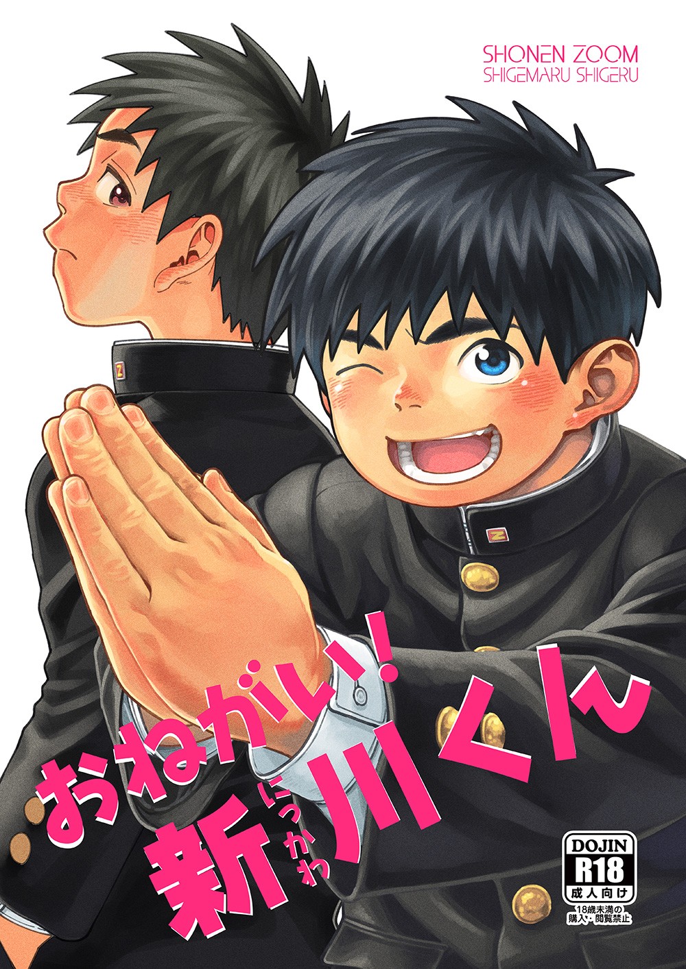 Onegai! Nikkawa-kun | Please, Nikkawa! {Chin²}