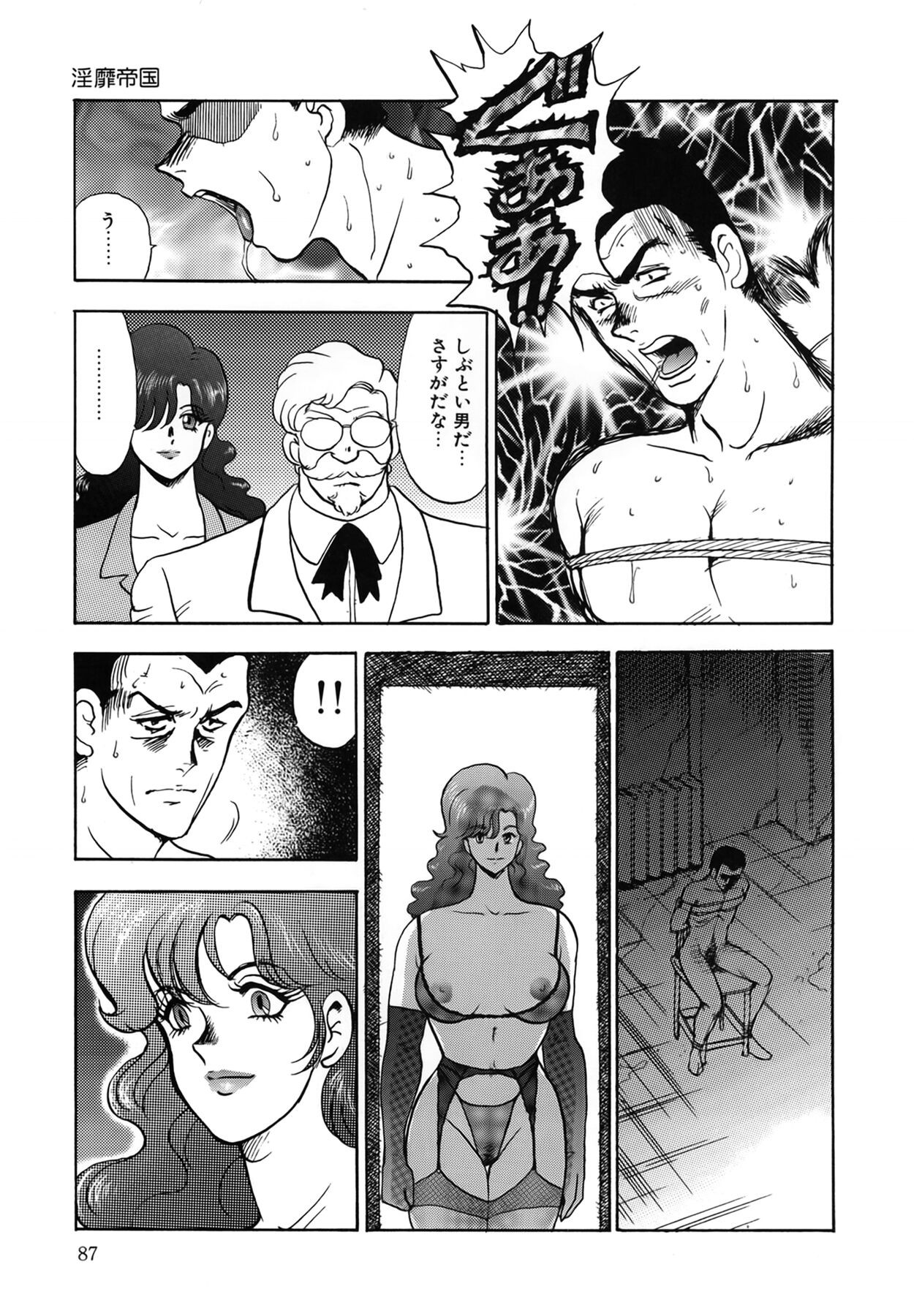 Page 87