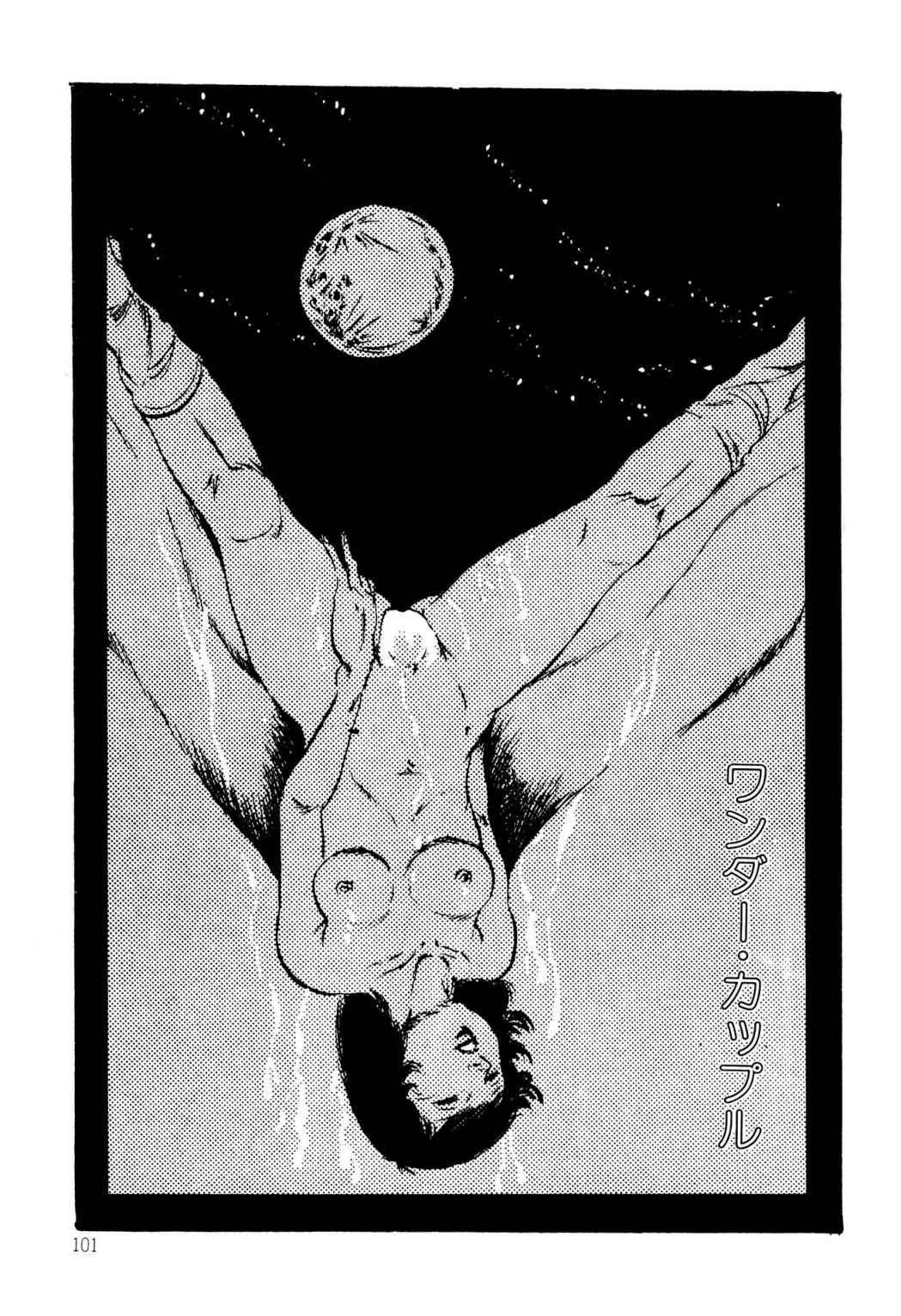 Page 101