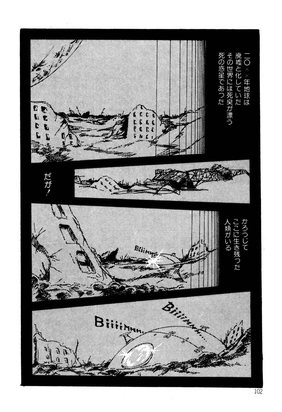 Page 102