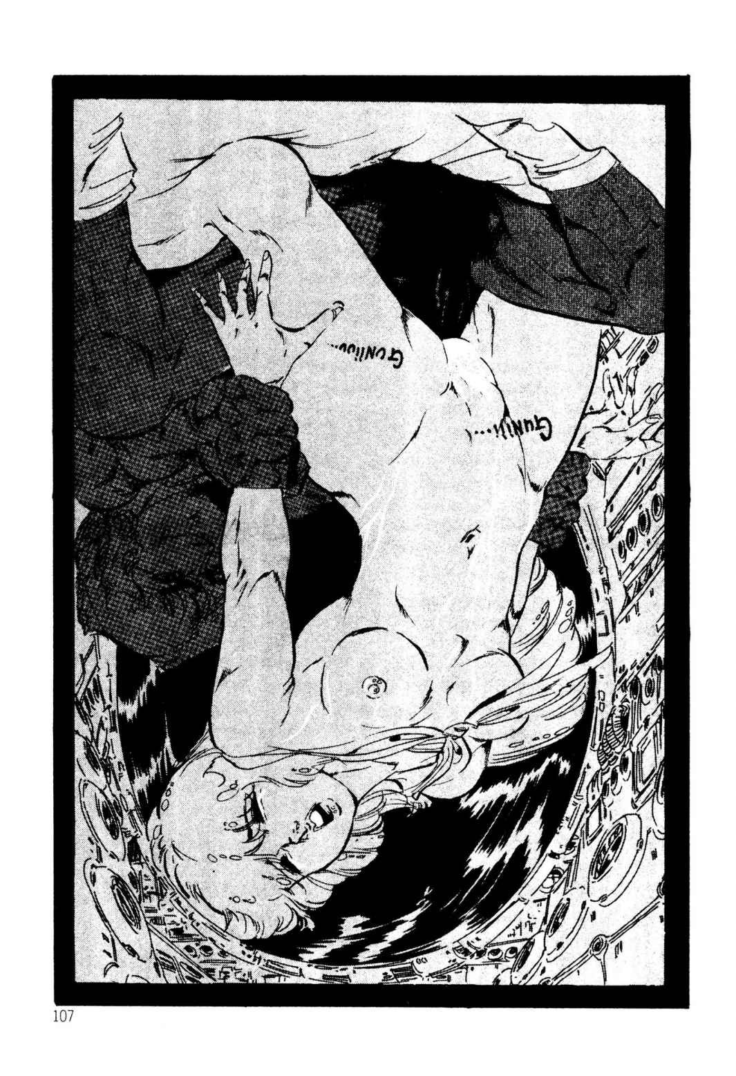 Page 107