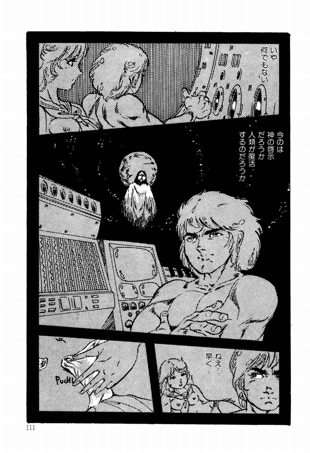 Page 111