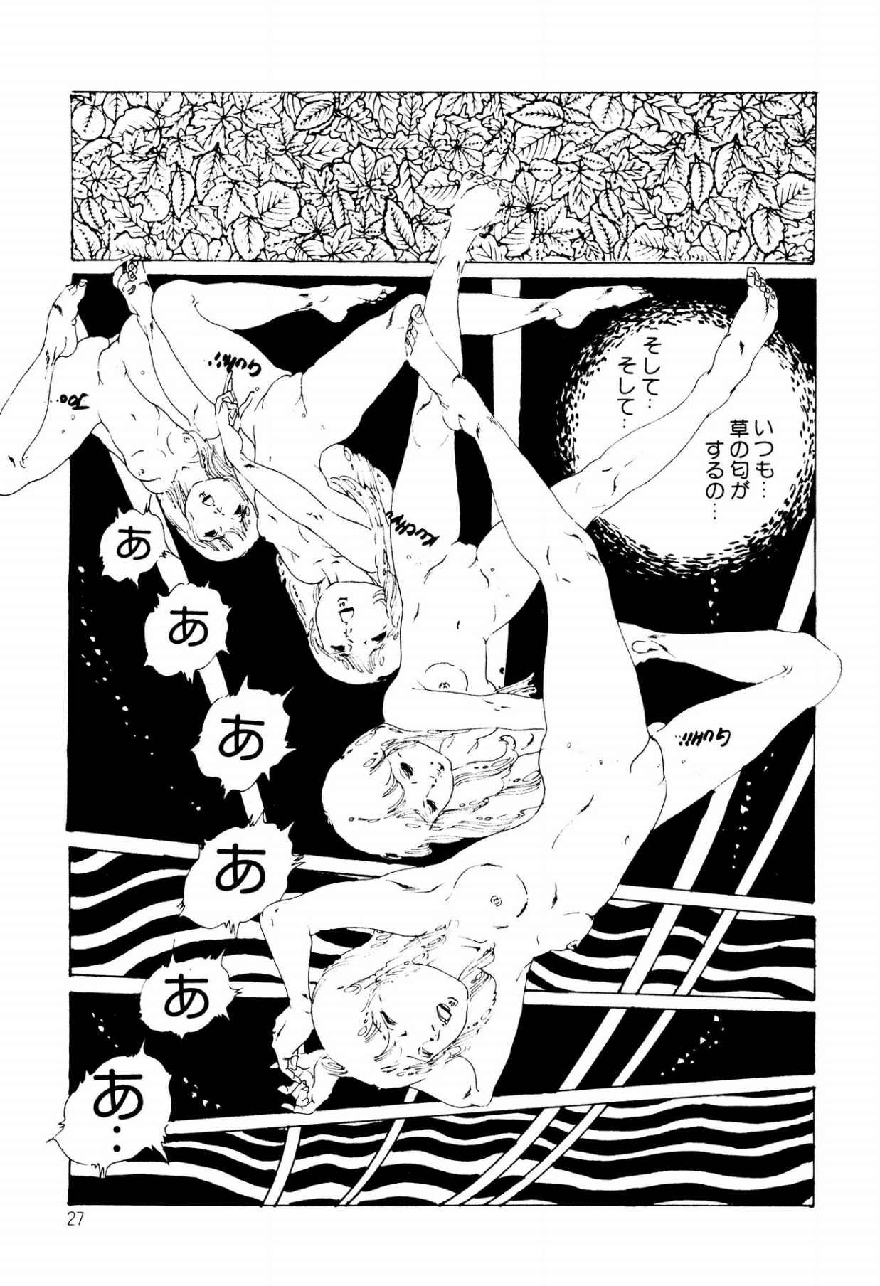 Page 27
