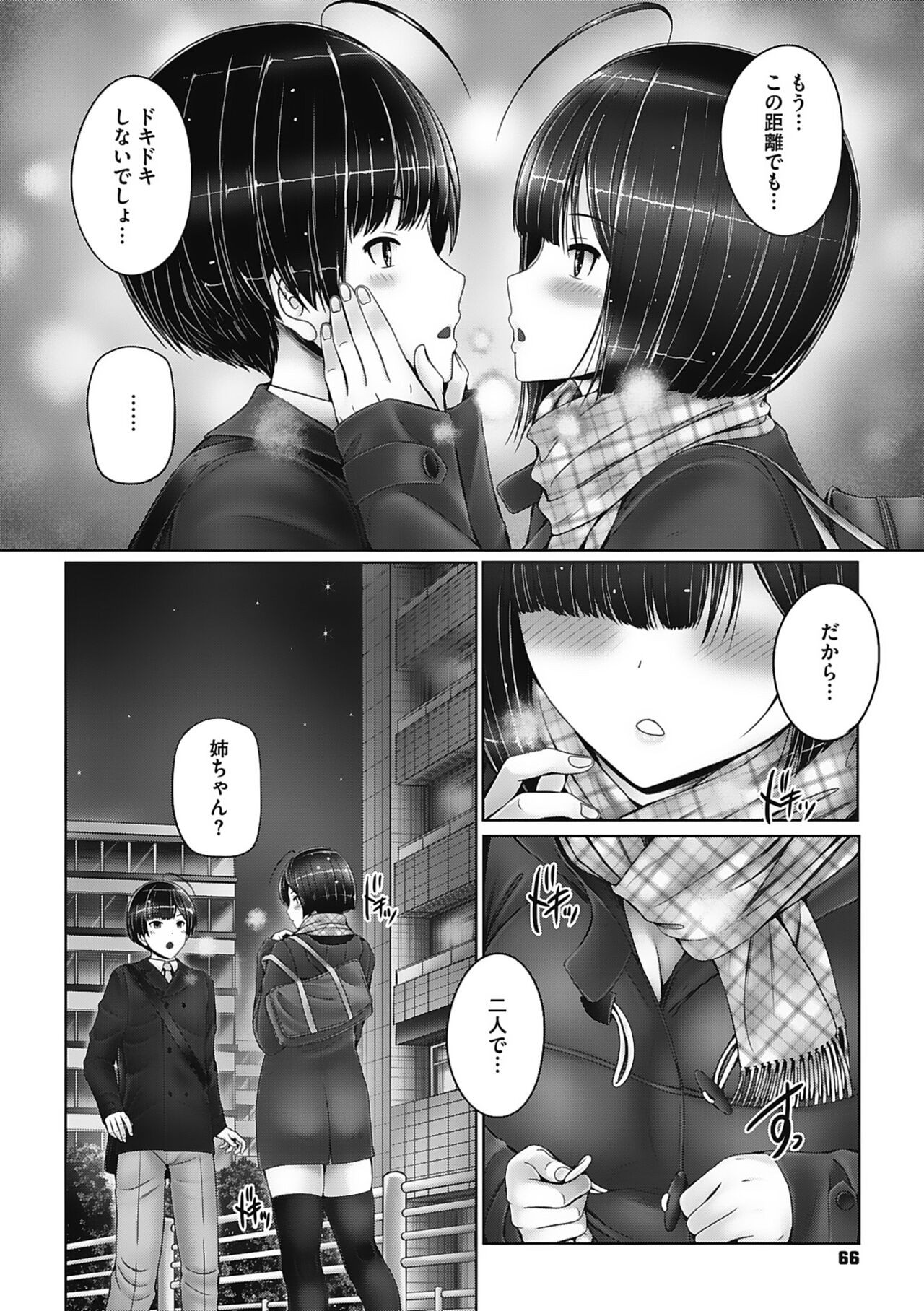 Page 66