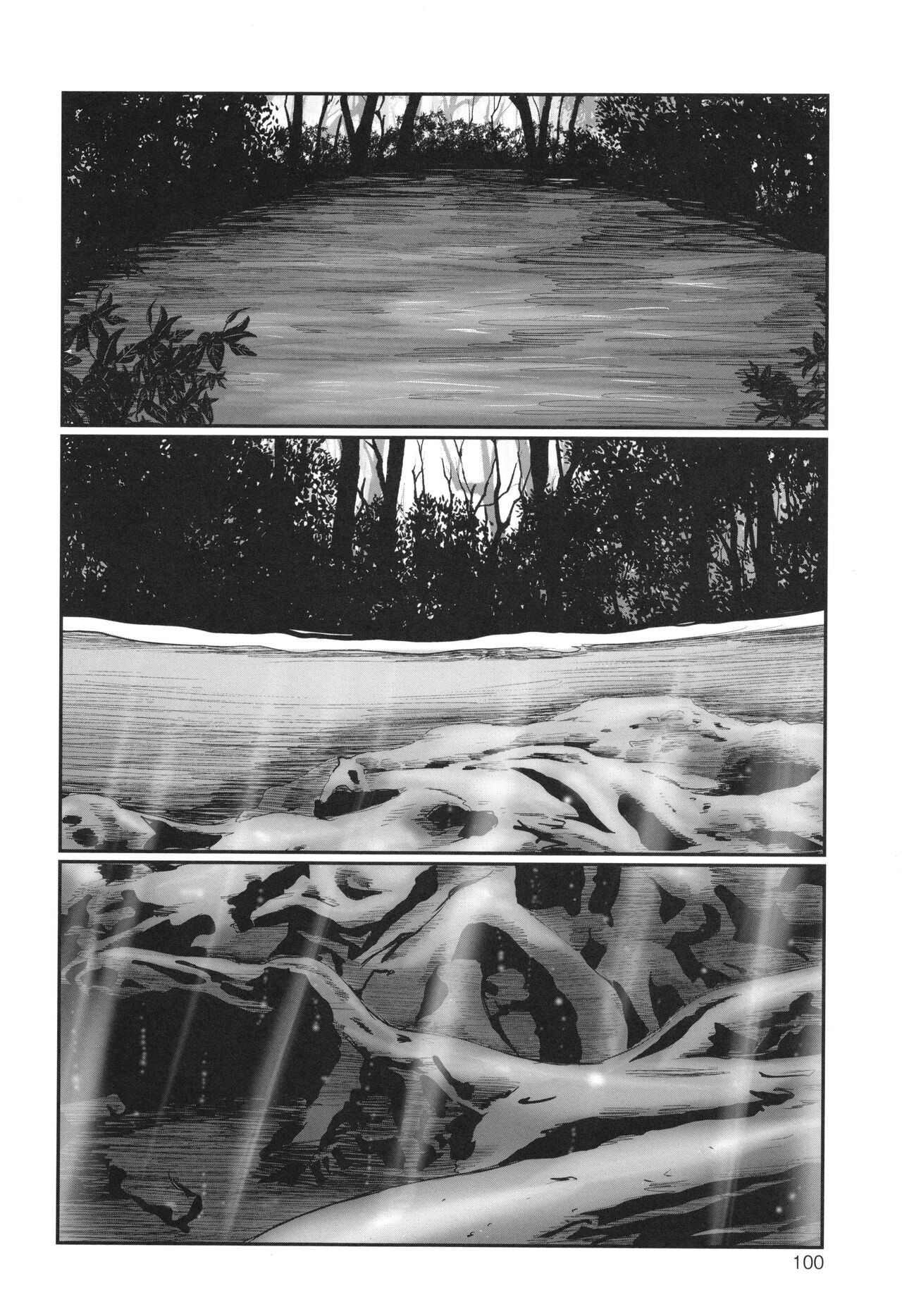 Page 102