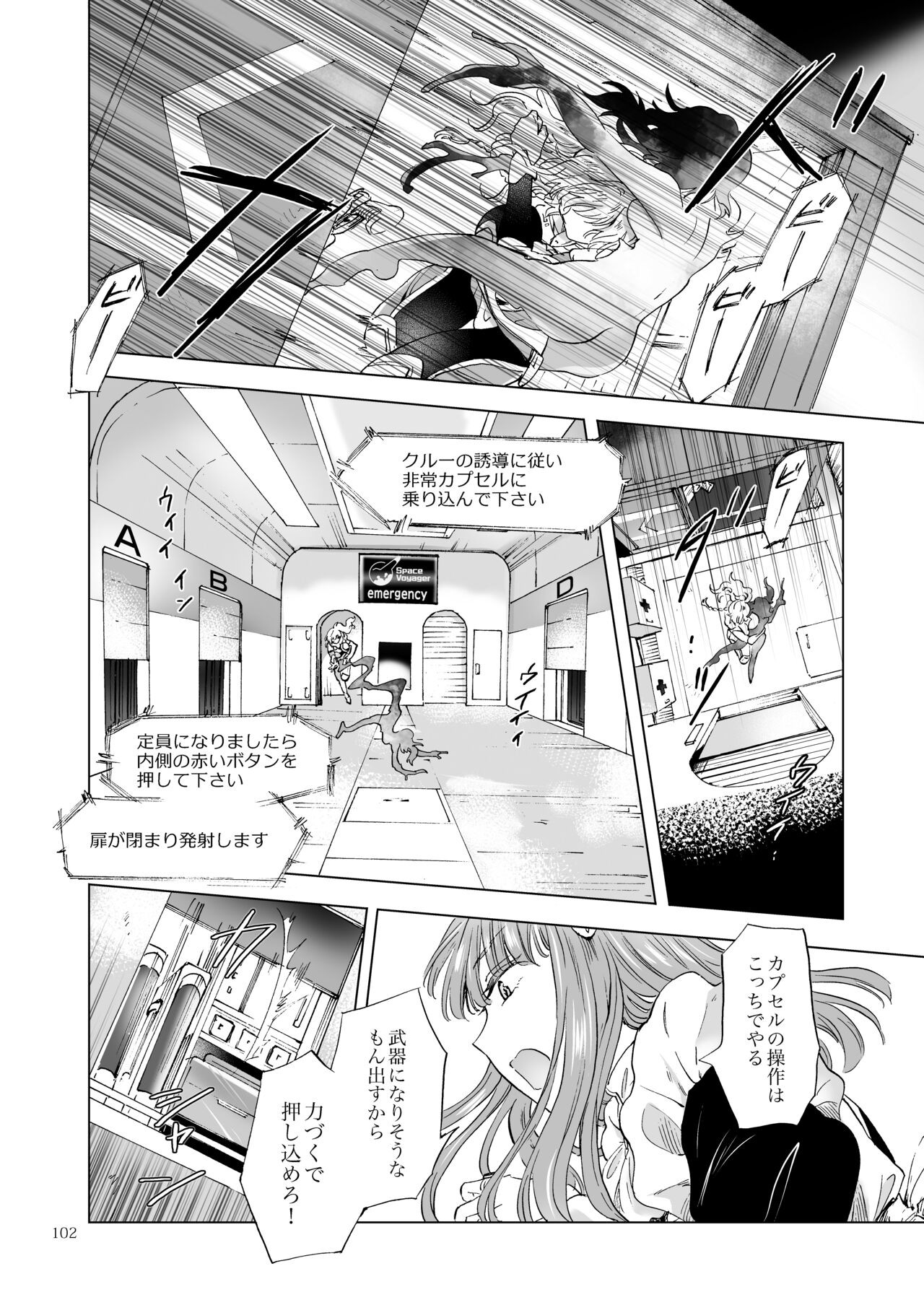 Page 101
