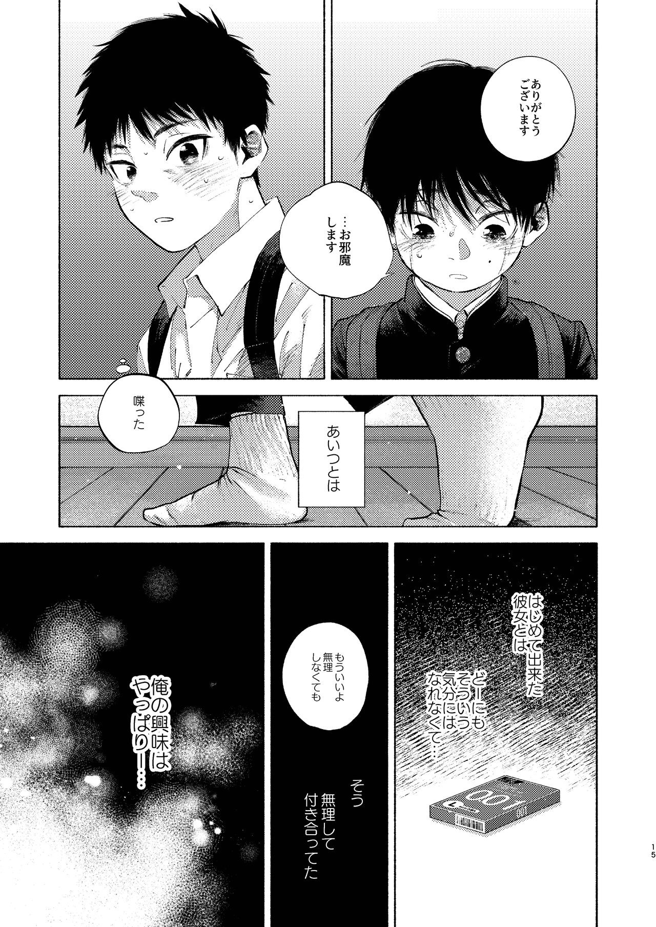 Page 15