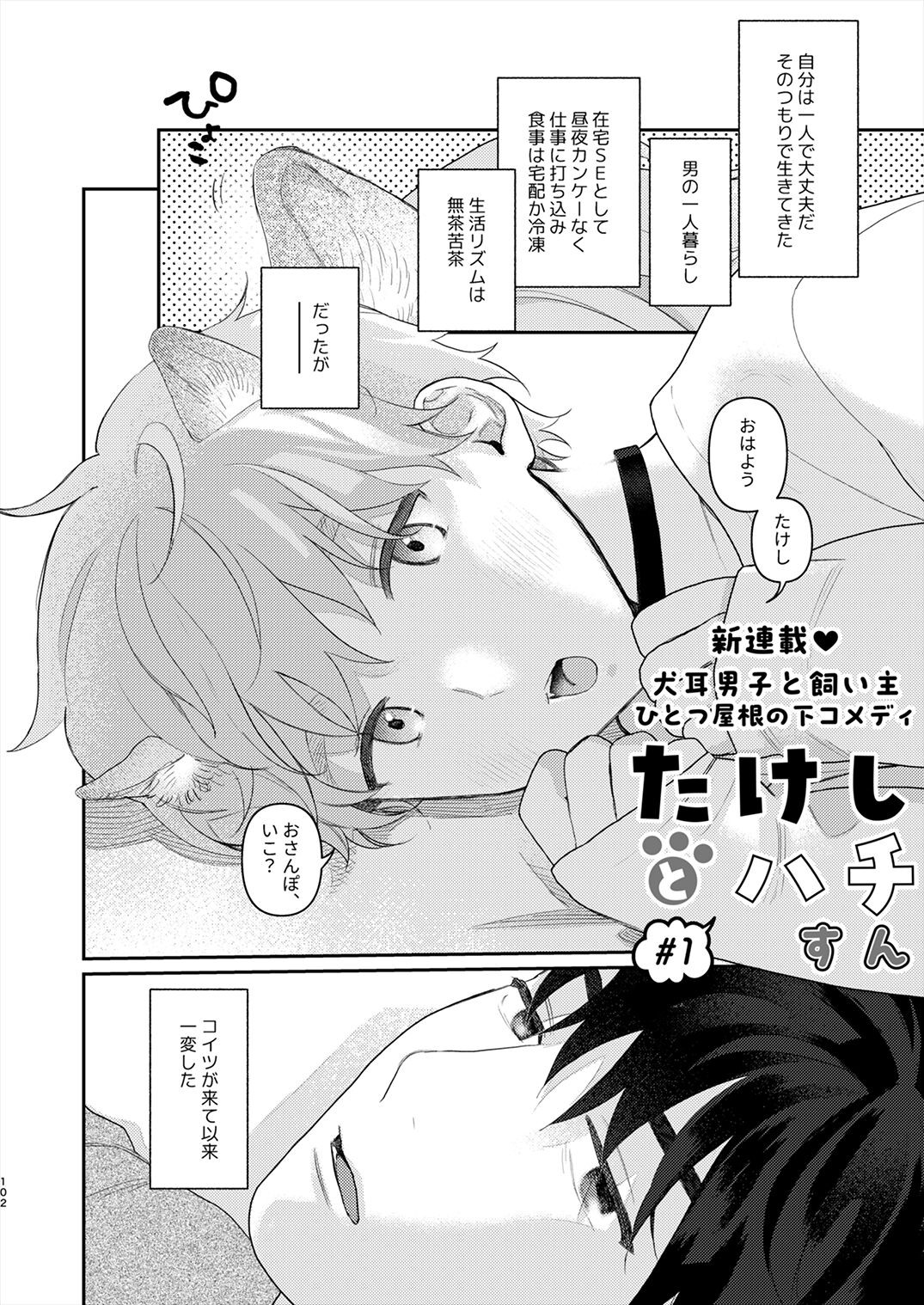 Page 101