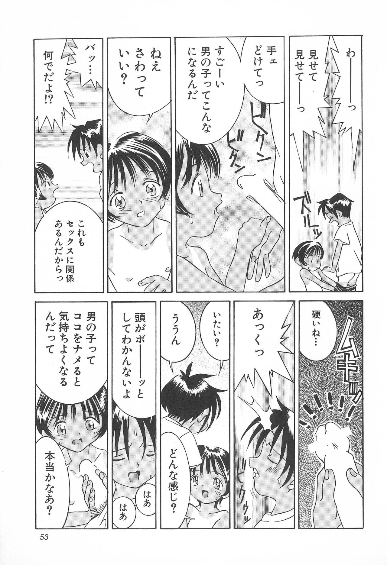 Page 53