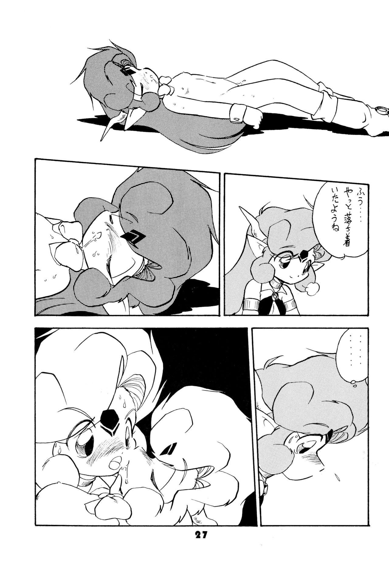 Page 27