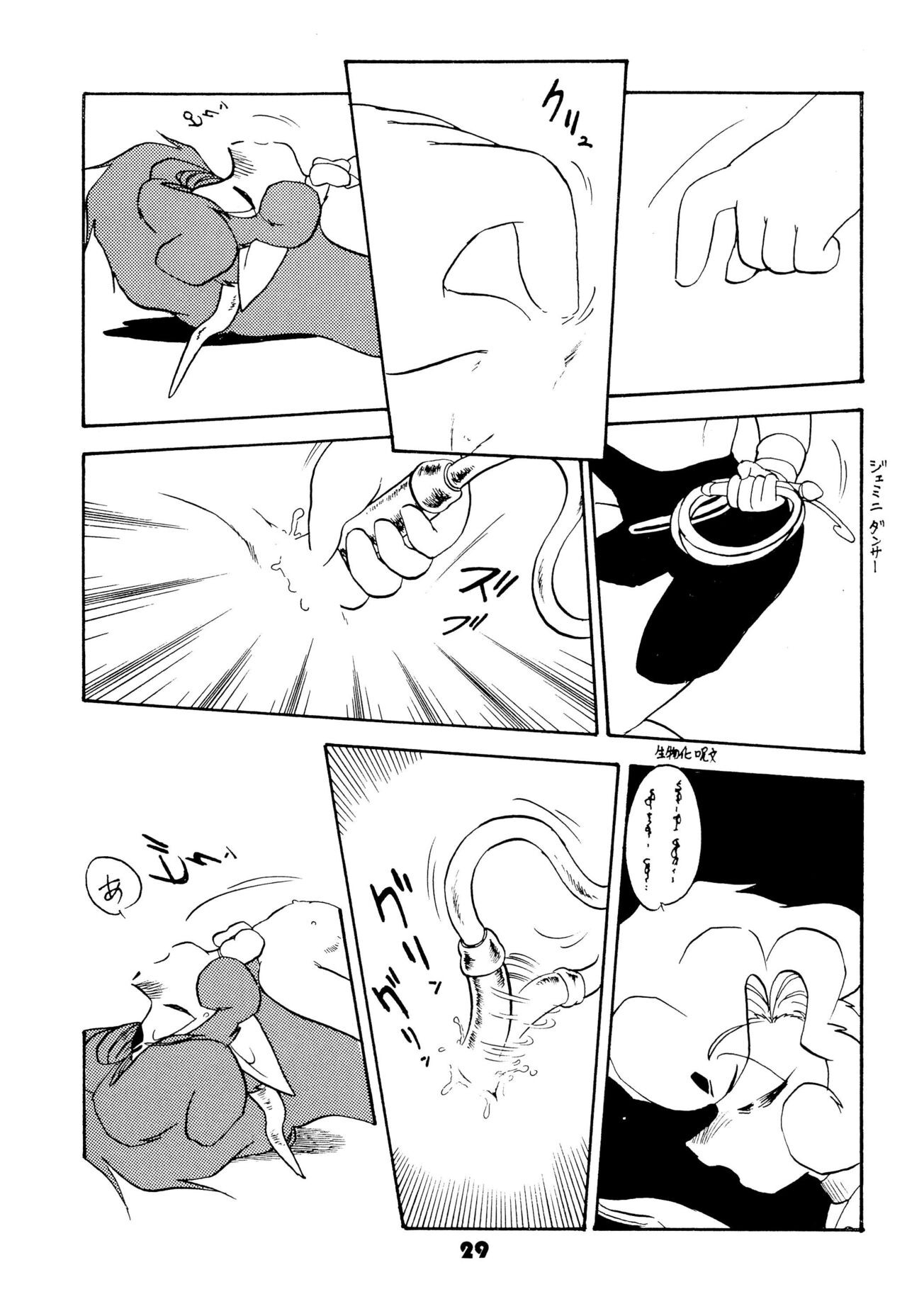 Page 29
