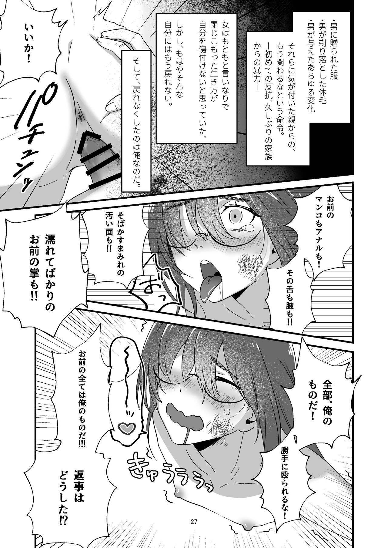 Page 27