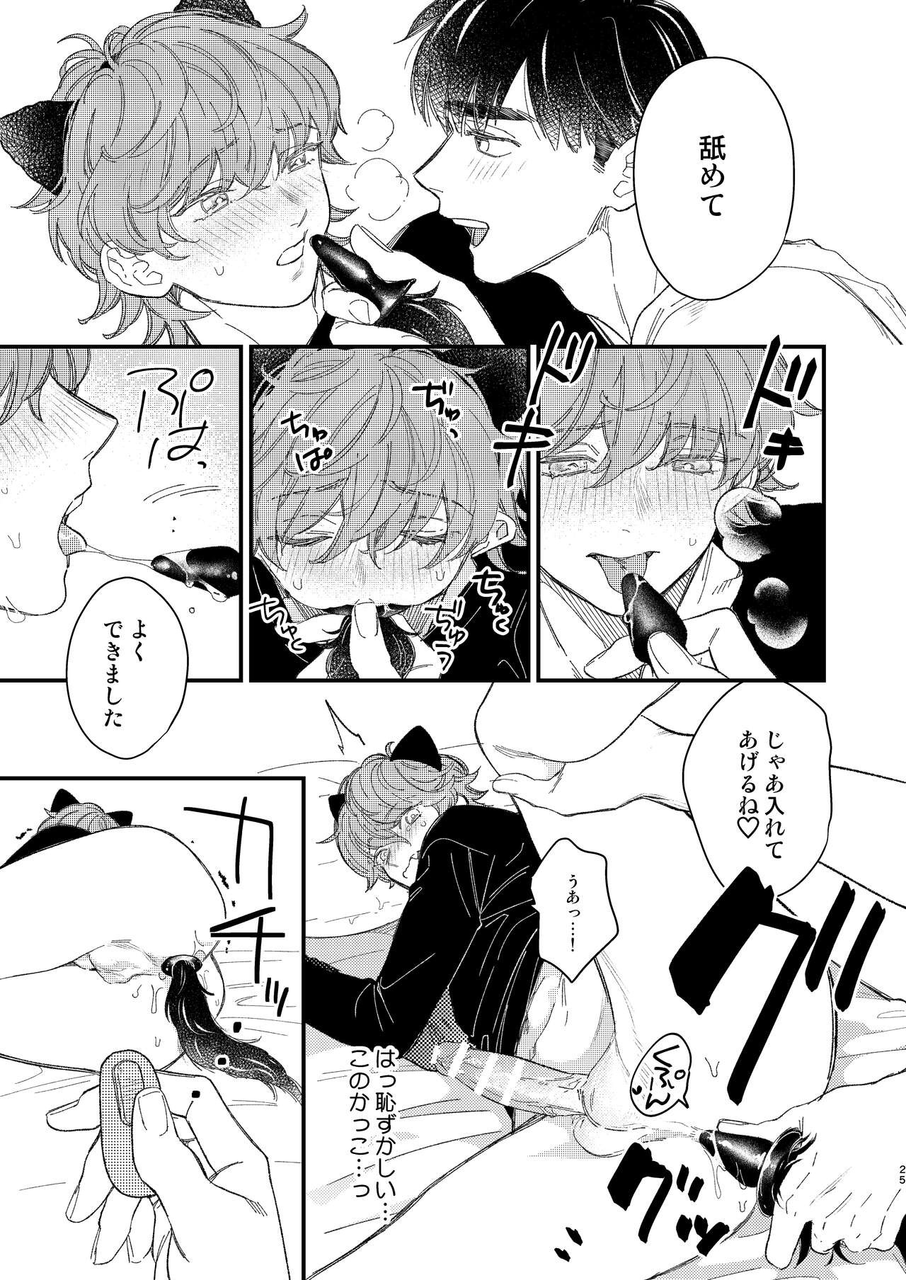 Page 25