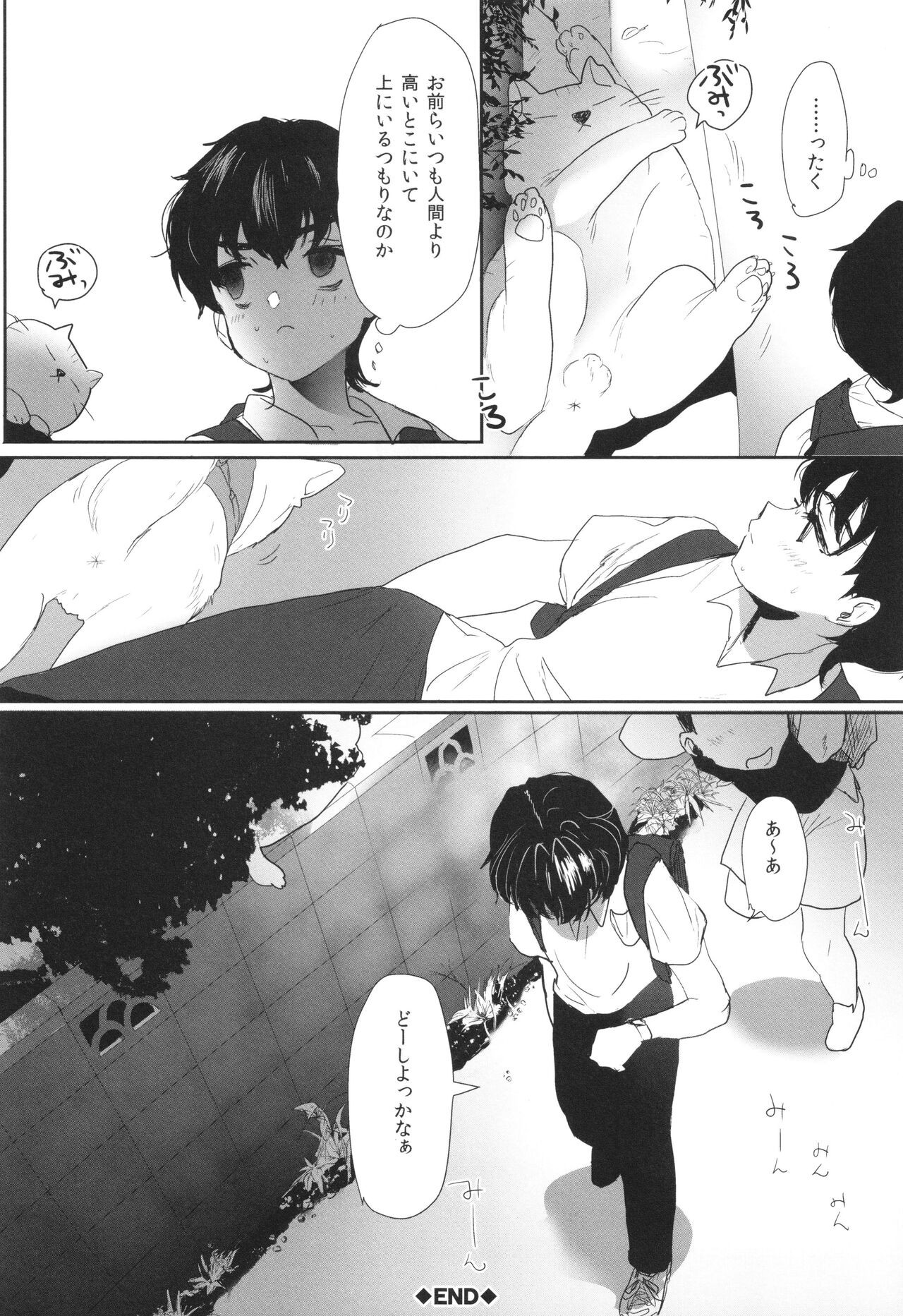 Page 231