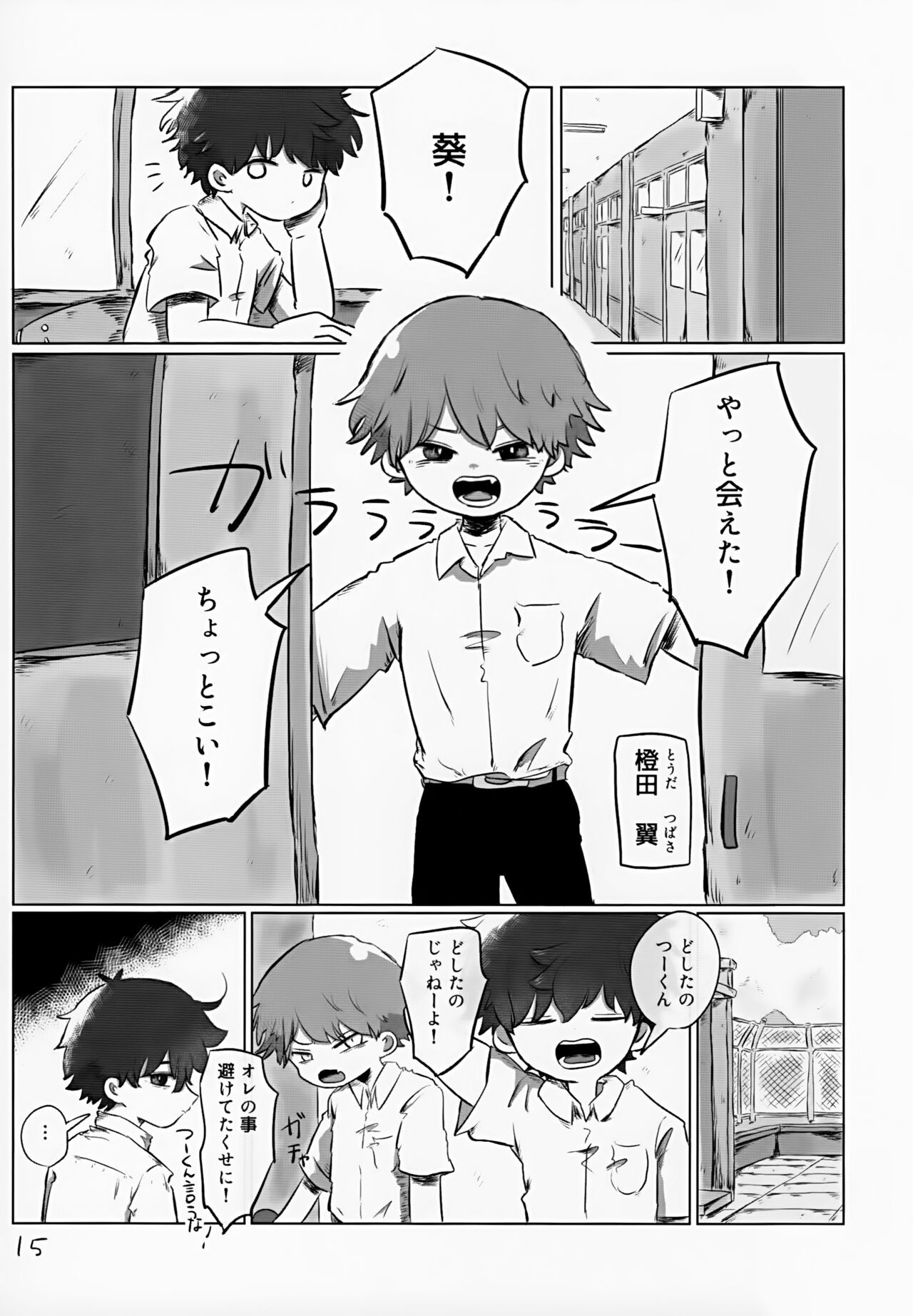 Page 15