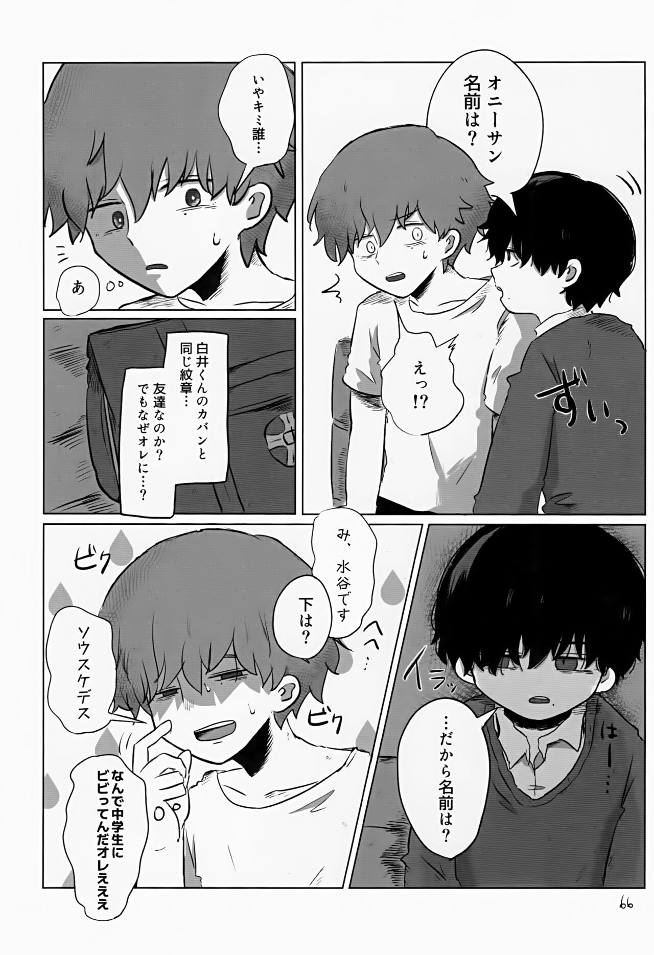 Page 66